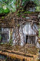 Beng Mealea Jungle Ruins