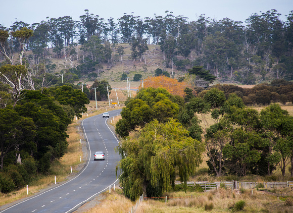 Tasmania countryside