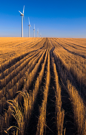 Wheat Fields and Wind Farm -Oregon