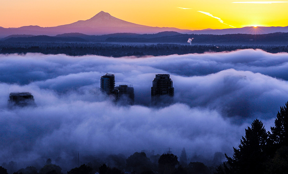 River Fog, Portland, Oregon