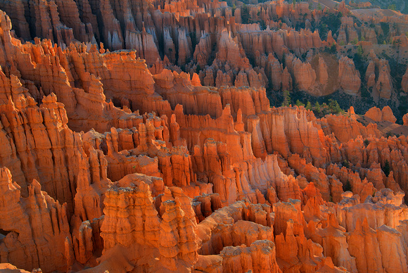 Bryce Canyon Nat'l Park, Utah