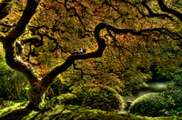 Japanese Gardens, Portland, Oregon