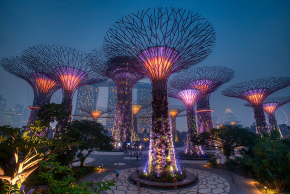 Gardens By The Bay