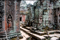 Ta Prohm Temple Ruins